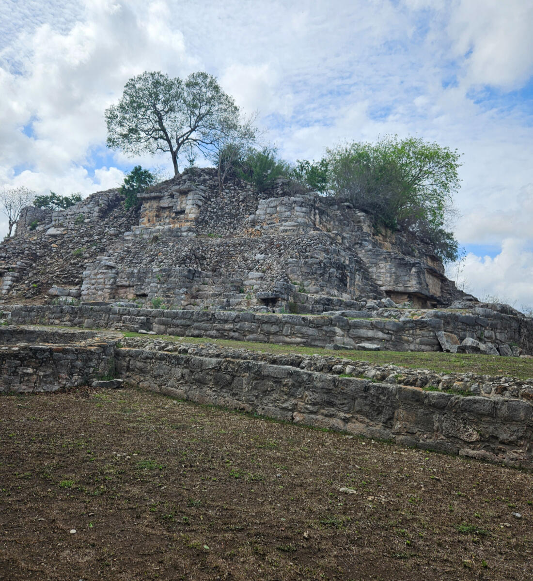 Ancient stone ruins beneath a growing tree, photographed by Naoma Riordan in Mexico.