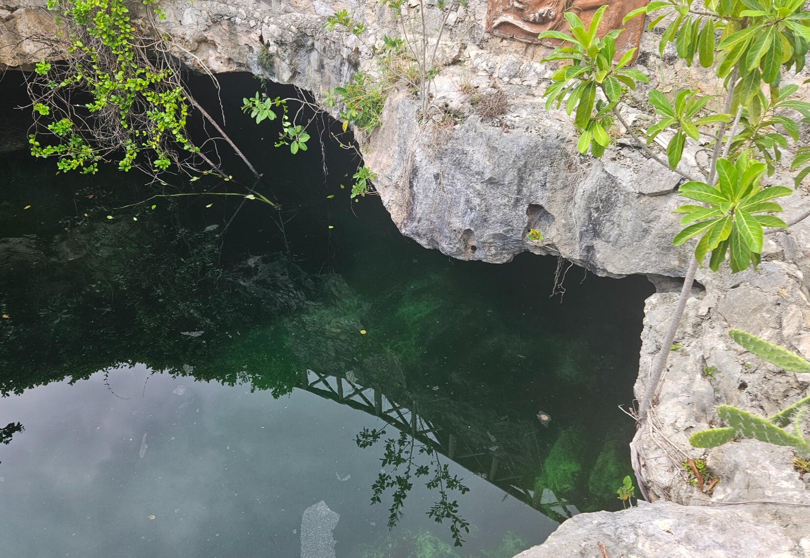A quiet cenote surrounded by stone and greenery, photographed by Naoma Riordan in Mexico.